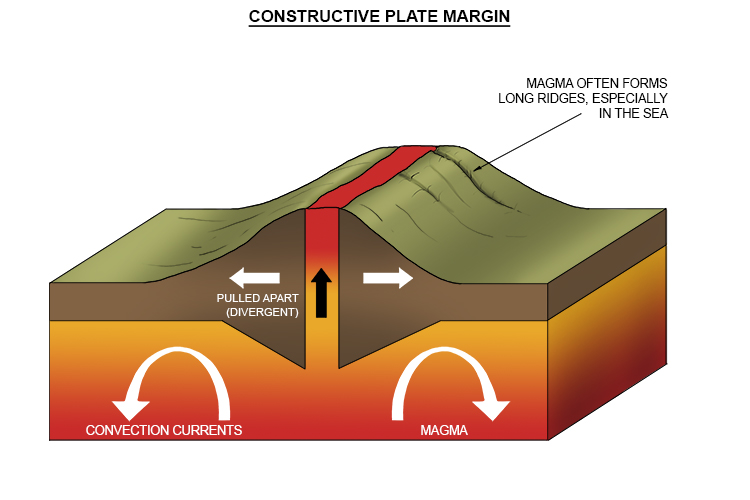 With constructive plate margins, the two tectonic plates move apart or diverge from each other.